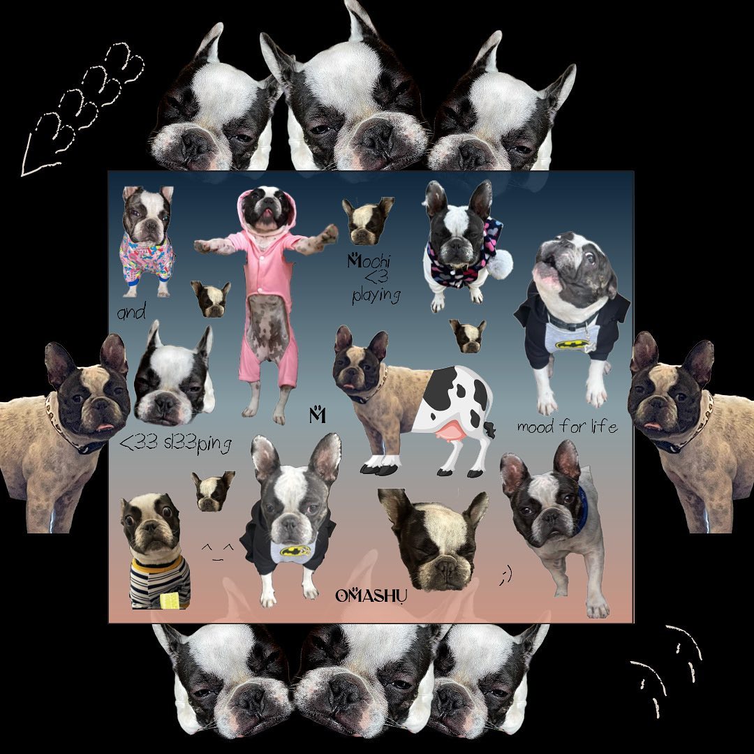 Sticker pack of French bulldog Mochi in various poses and outfits. The background is black with white doodles of bones and paw prints. The central image is a group of French bulldogs in a blue frame. The dogs are in various poses, some are sleeping, some are playing, and some are wearing clothes. There are text labels on some of the images such as ‘Mochi playing’ and ‘Mood for life’. The bottom right corner has a logo that reads ‘OMASHU’.